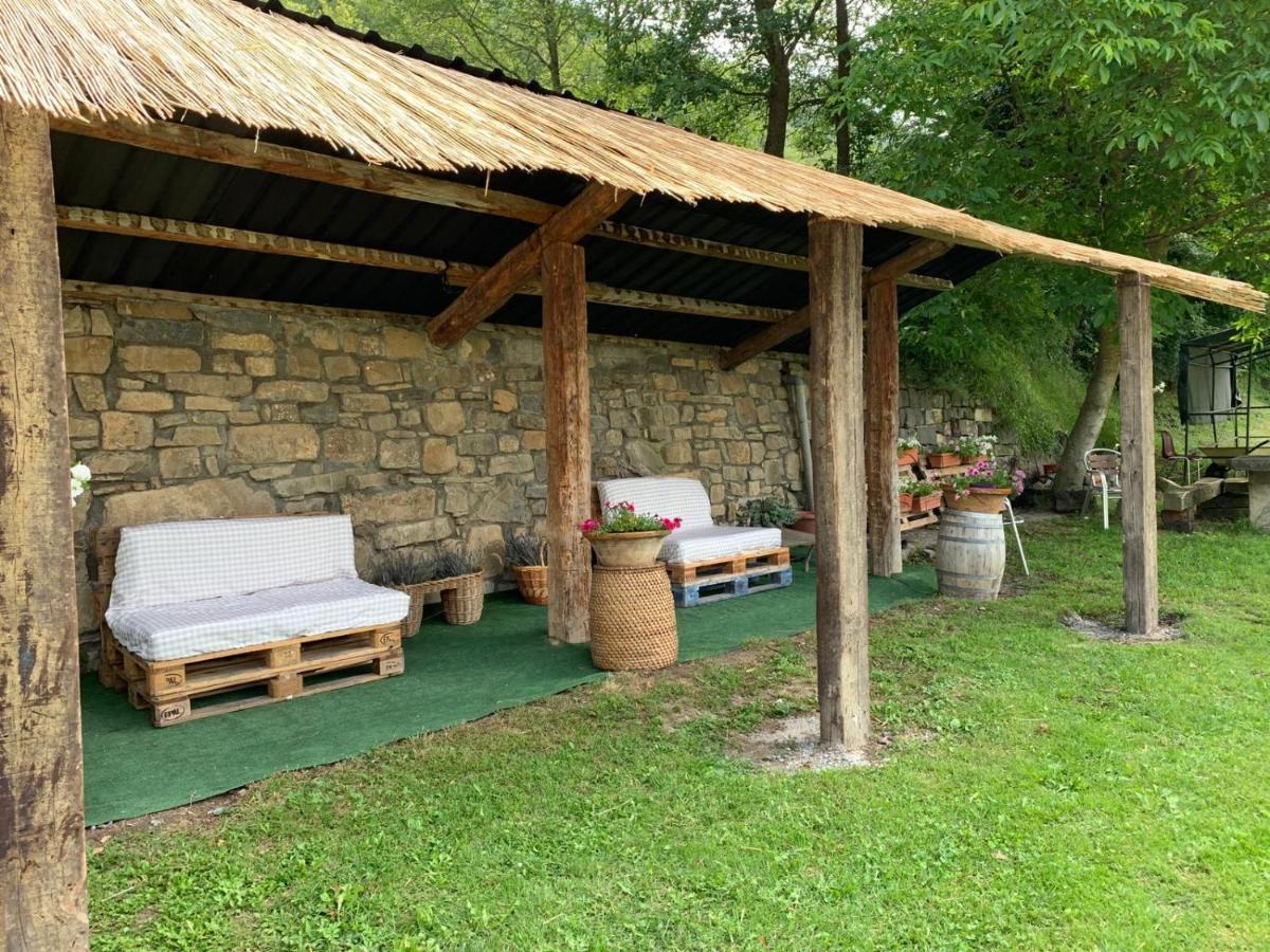Apartamentos Vina Olivan Sarvisé Εξωτερικό φωτογραφία